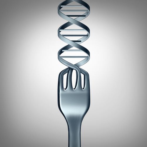 Vliv stravy na naše geny zjišťují nové vědní obory. Nutrigenetika a nutrigenomika
