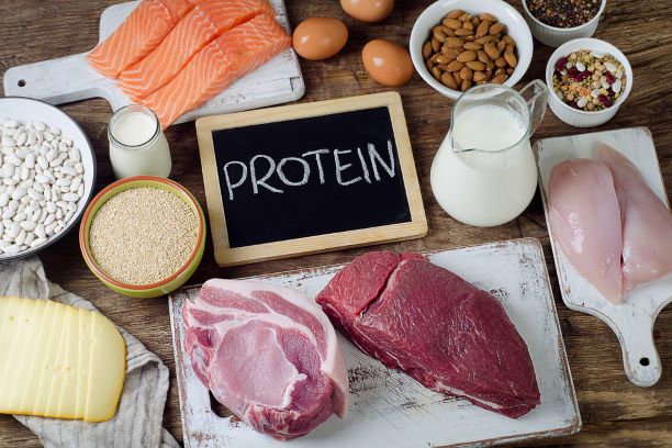 Foto: Bitt ze Shutterstock.com Zdroje bílkovin. Nedostatek i nadbytek škodí
