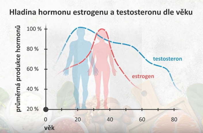 Hladina estrogenu a testosteronu