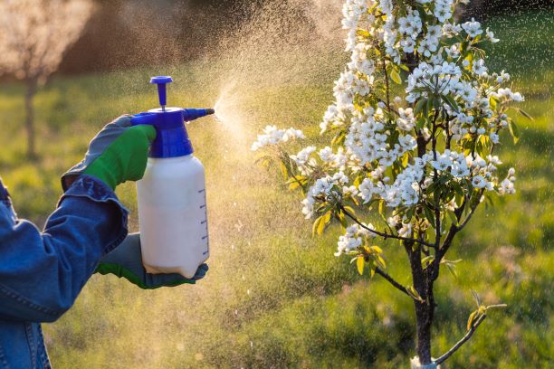 Rizika spojená s pesticidy v ovoci a zelenině. Jak se před pesticidy chránit?