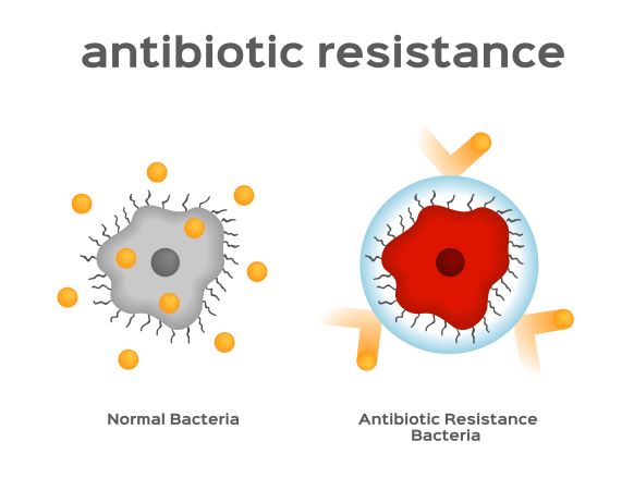 rezistence na antibiotika