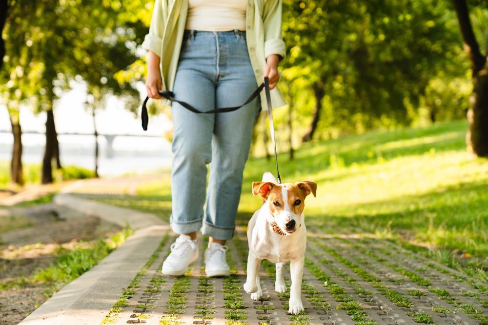 žena na procházce se psem