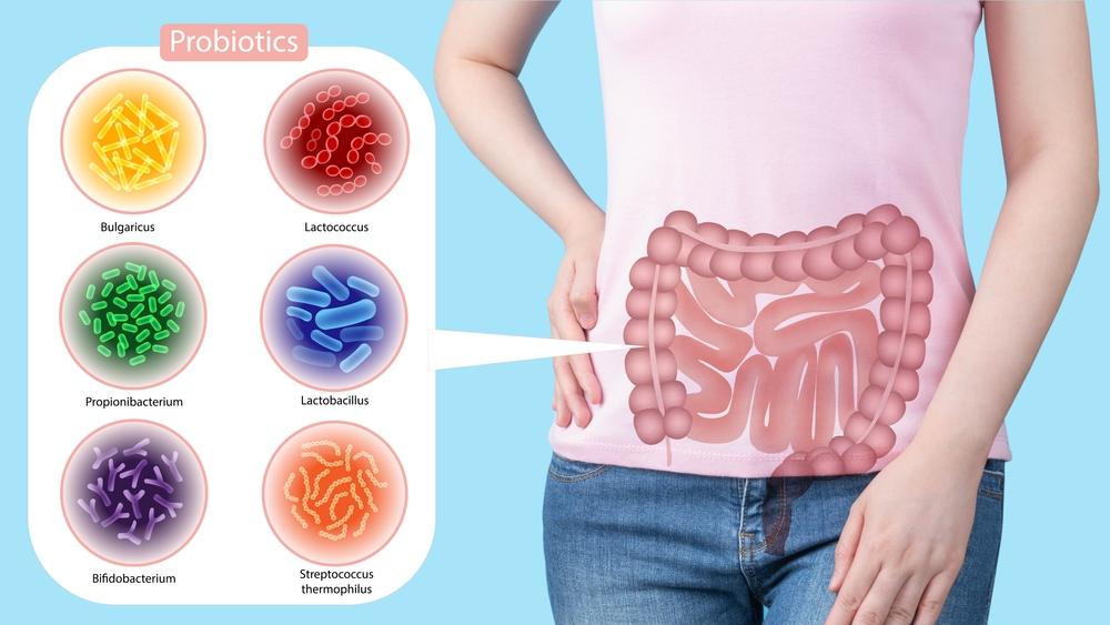Probiotika a prebiotika. Znáte rozdíly a víte, kde je hledat?