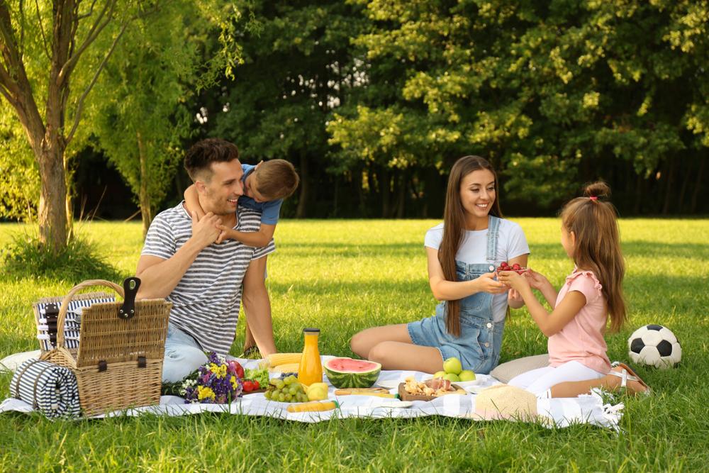 Léto nekončí. Udělejte si piknik v přírodě. Víte, jak na něj?