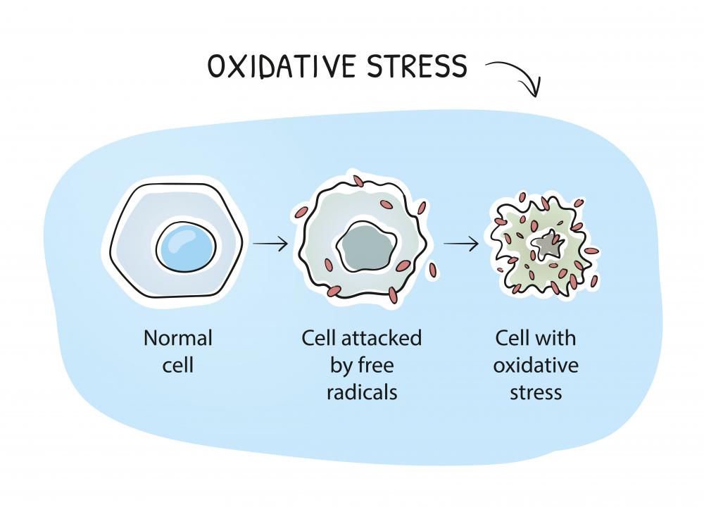 oxidační stres