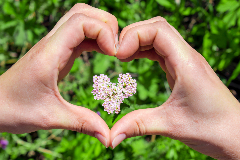 Stock photos: Nik Ryabukhin/Shutterstock.com