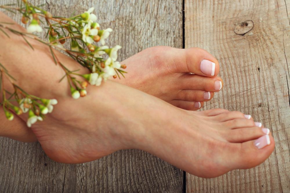 Stock photos: Tomek_Pa/Shutterstock.com