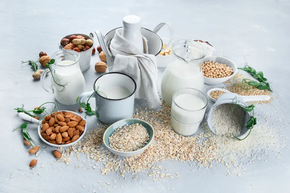 Vyznejte se v rostlinných alternativách mléčných výrobků
