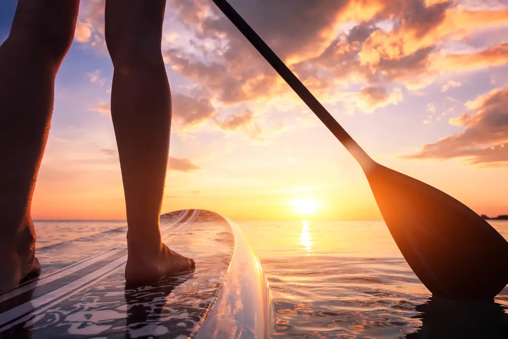 paddleboard