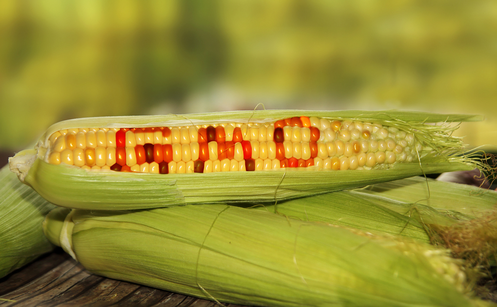 Stock photos: Carlos Amarillo/Shutterstock.com