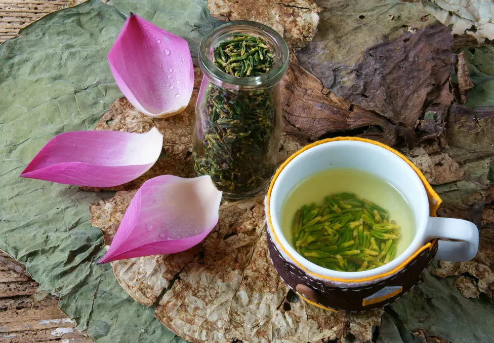 lotosový čaj