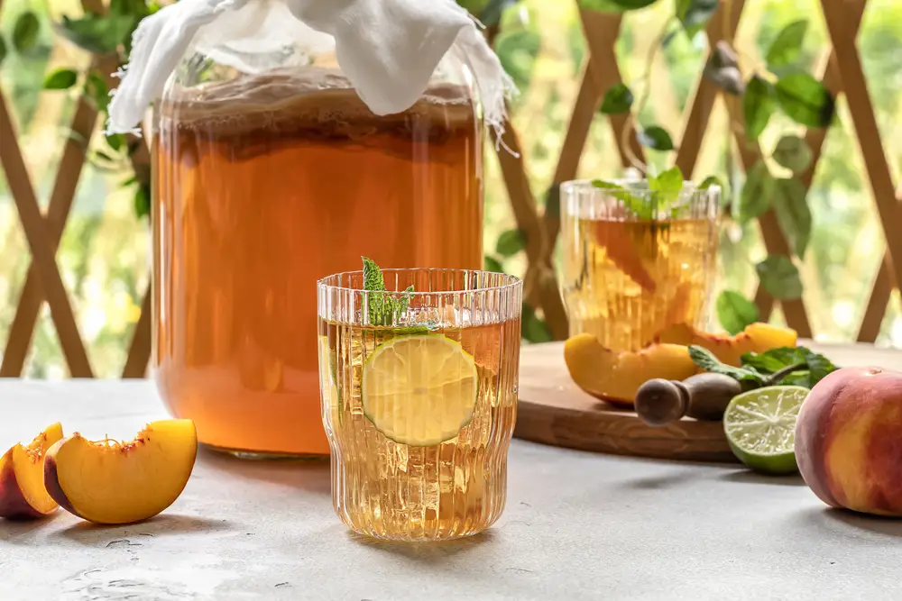 Pivo, kombucha, mléko. Co mají společné?
