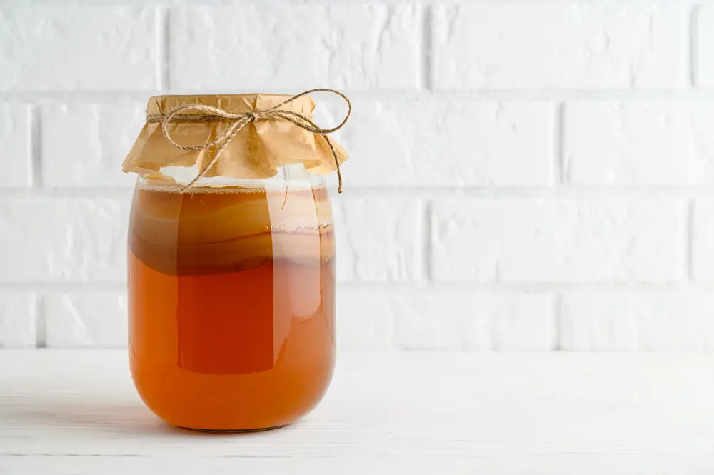 kombucha