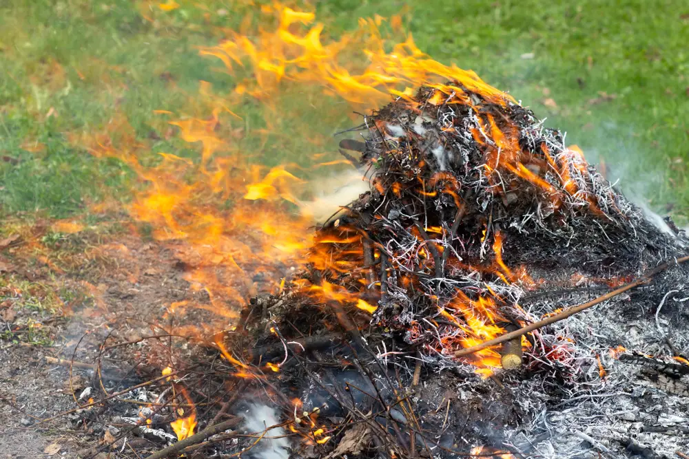 pálení bioodpadu na zahradě