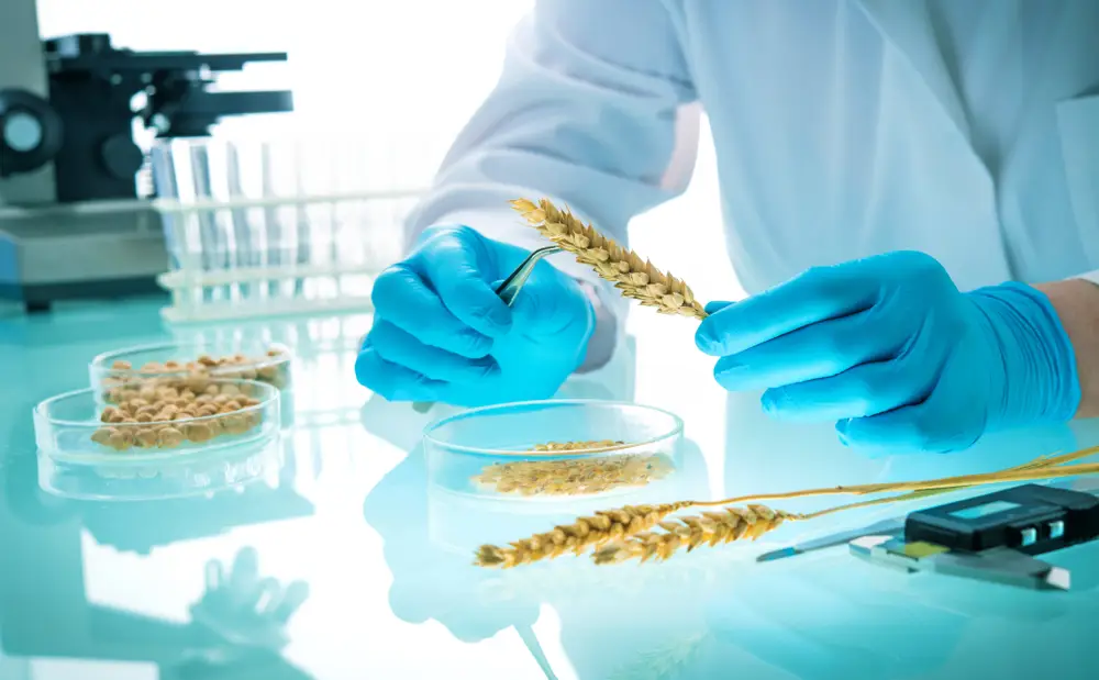 Genetická modifikace rostlin v laboratoři