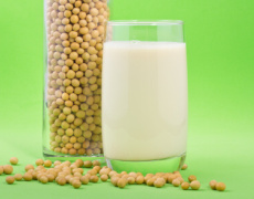 Rostlinné alternativy mléčných výrobků a jejich využití