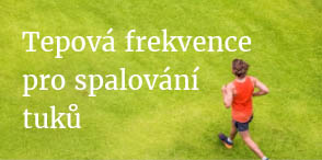 Kalkulačka tepové frekvence