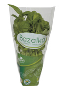 Bazalka